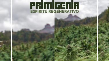 Primigenia Seeds pioneros en conceptos de regeneración con cannabis