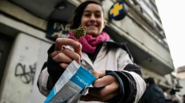 En Uruguay el 51% de los consumidores de cannabis escogen el mercado legal 
